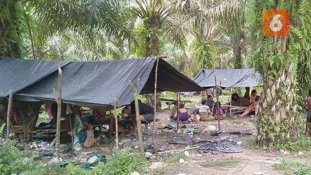 Orang Rimba Jambi