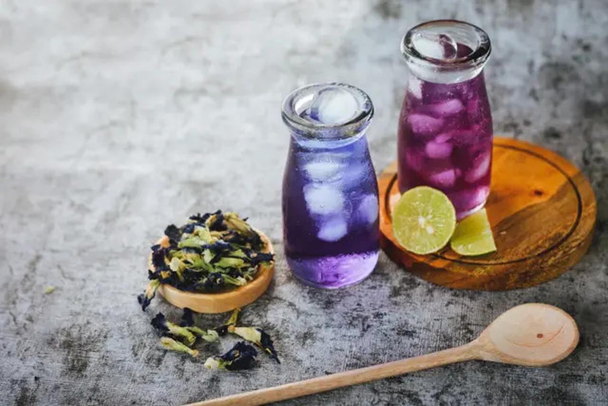 Resep Minuman Bunga Telang untuk Kesehatan yang Mudah Dibuat di Rumah
