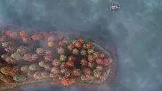 Warga mengendarai perahu di Danau Tianquan yang berselimut kabut di Xuyi di Provinsi Jiangsu, China (20/11/2019). Memasuki musik dingin, pemandangan Danau Tianquan berselimut kabut tipis berpadu dengan pepohonan berdaun kemerahan terlihat lebih indah dari biasanya. (AFP Photo/Str)