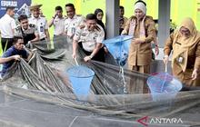 Rekor Baru! Lapas Banjarmasin Panen Lele 255,5 Kg dari Program SAE, Bekali Warga Binaan Keterampilan Mandiri