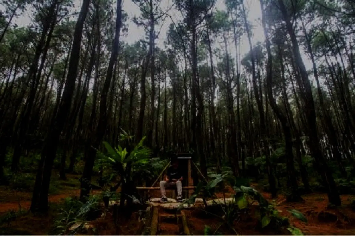 Bukit Langlang