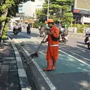 Lowongan Pasukan Oranye Diserbu Sarjana, Ini Kata Pramono