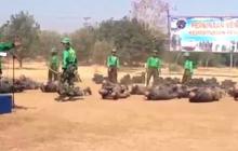Kronologi meninggalnya PNS Kemenhub saat ikuti latihan ala militer
