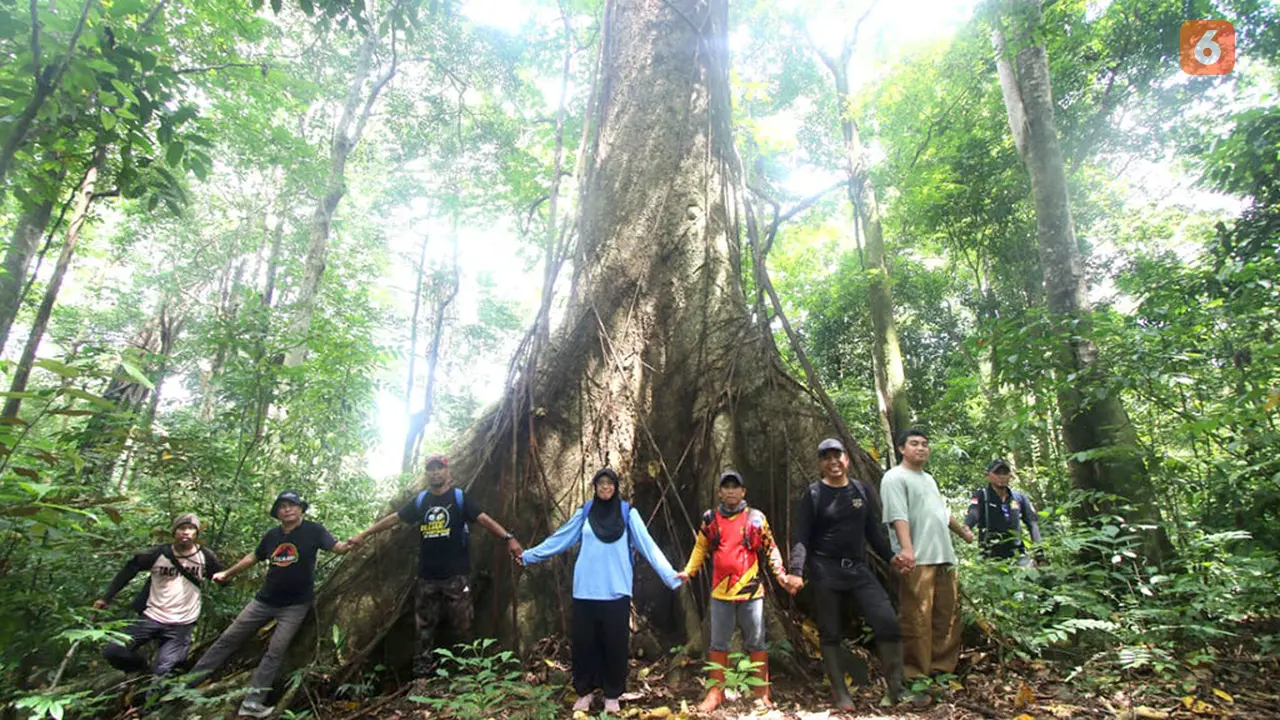 PWI Kalsel Hutan Hujan Tropis Kahung Geopark Meratus Kalsel