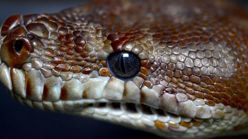 Onangiz bilan jinsiy aloqa