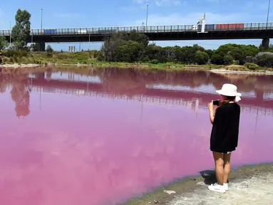 Pengunjung mengambil gambar sebuah danau yang berubah warna menjadi pink di Westgate Park, Melbourne, Australia, Senin (4/3). Warna tersebut merupakan campuran dari udara hangat, cahaya matahari, sedikit hujan dan tingginya kadar garam. (William WEST/AFP)
