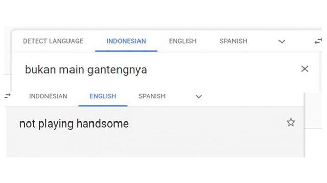 Google translate inggris indonesia dan sebaliknya disebut foto