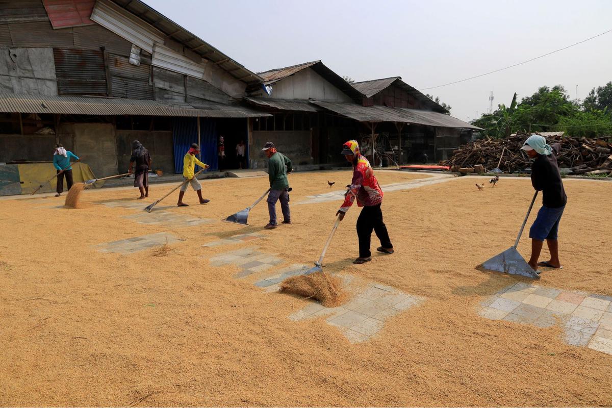 Penggilingan padi di Bekasi manfaatkan program Electrifying Agriculture PLN