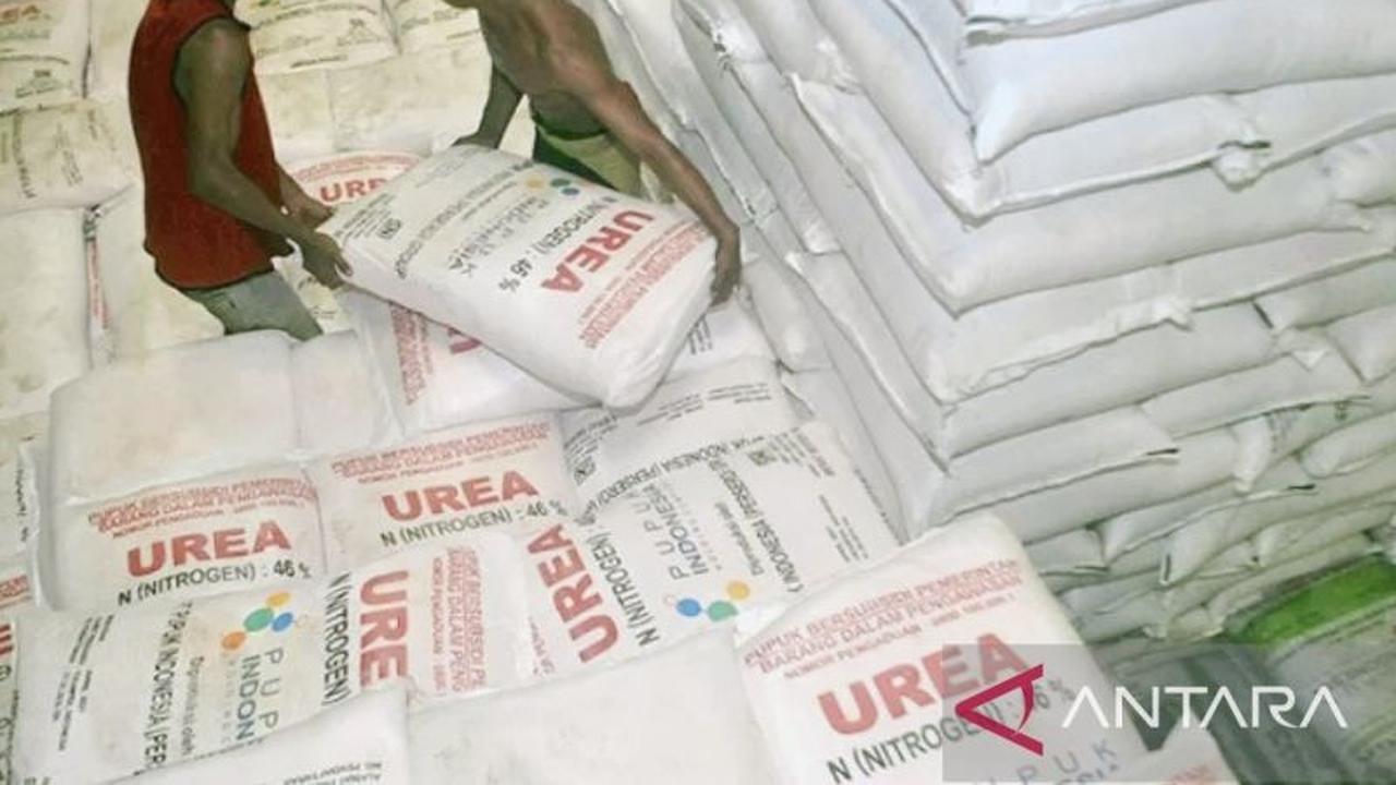 Fakta Unik: 'Jasa Antar' Kios Jadi Biang Kerok Tingginya Harga Pupuk Subsidi di Karawang
