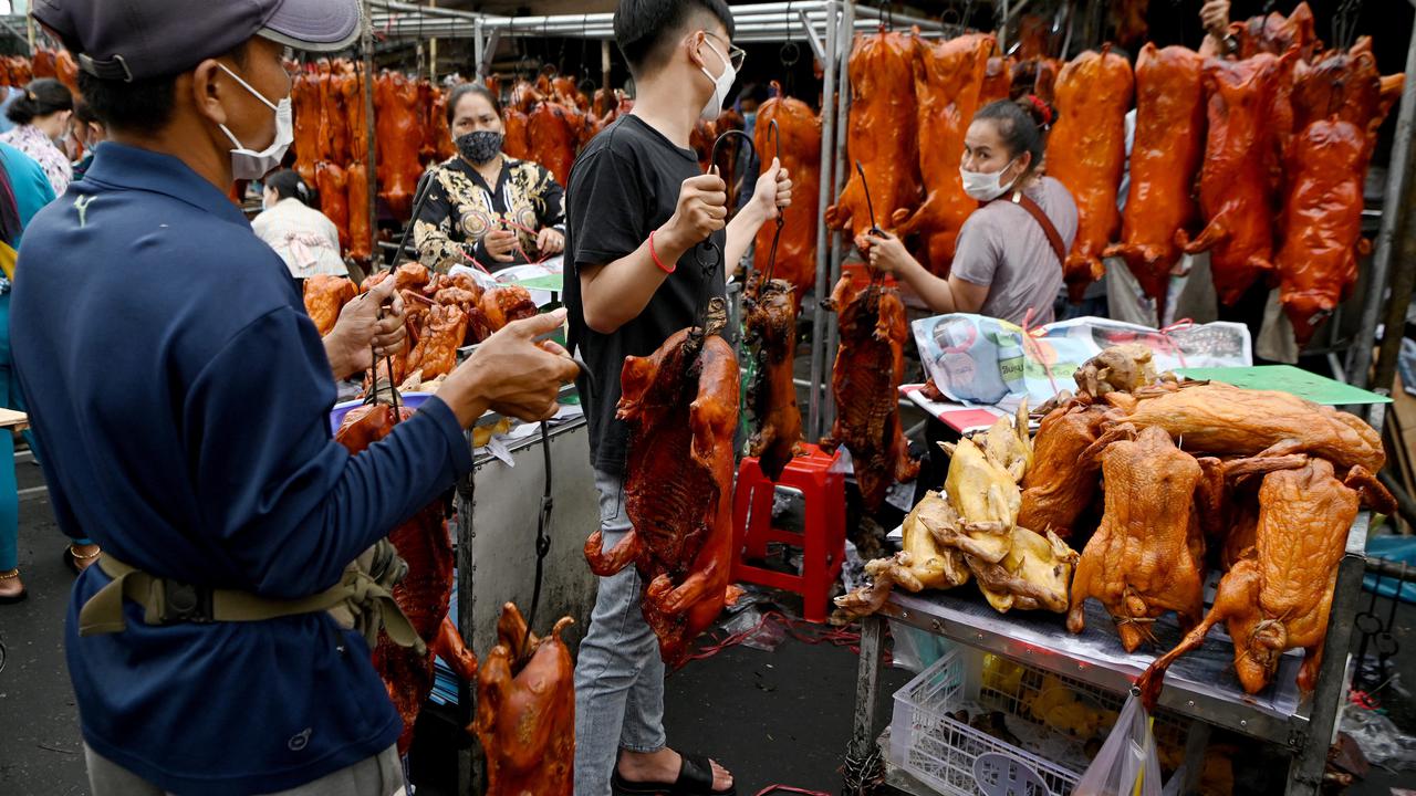 Warga Kamboja Berburu Babi Panggang untuk Sajian Imlek