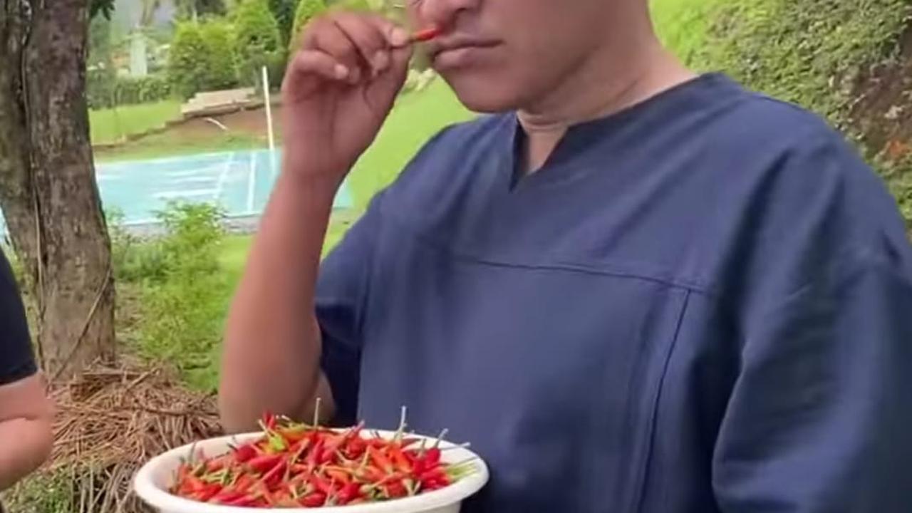 Panen Cabai yang Segar, Ruben Onsu Kini Jajal Berkebun