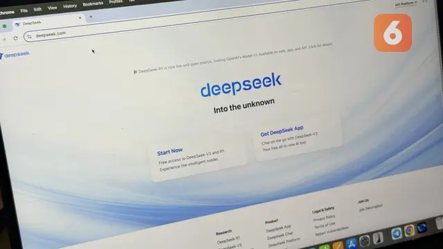 DeepSeek AI