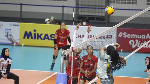 PLN Mobile Proliga