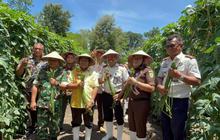 Panen Raya Ditjenpas NTT: WBP Rutan Kefamenanu Perkuat Ketahanan Pangan Nasional