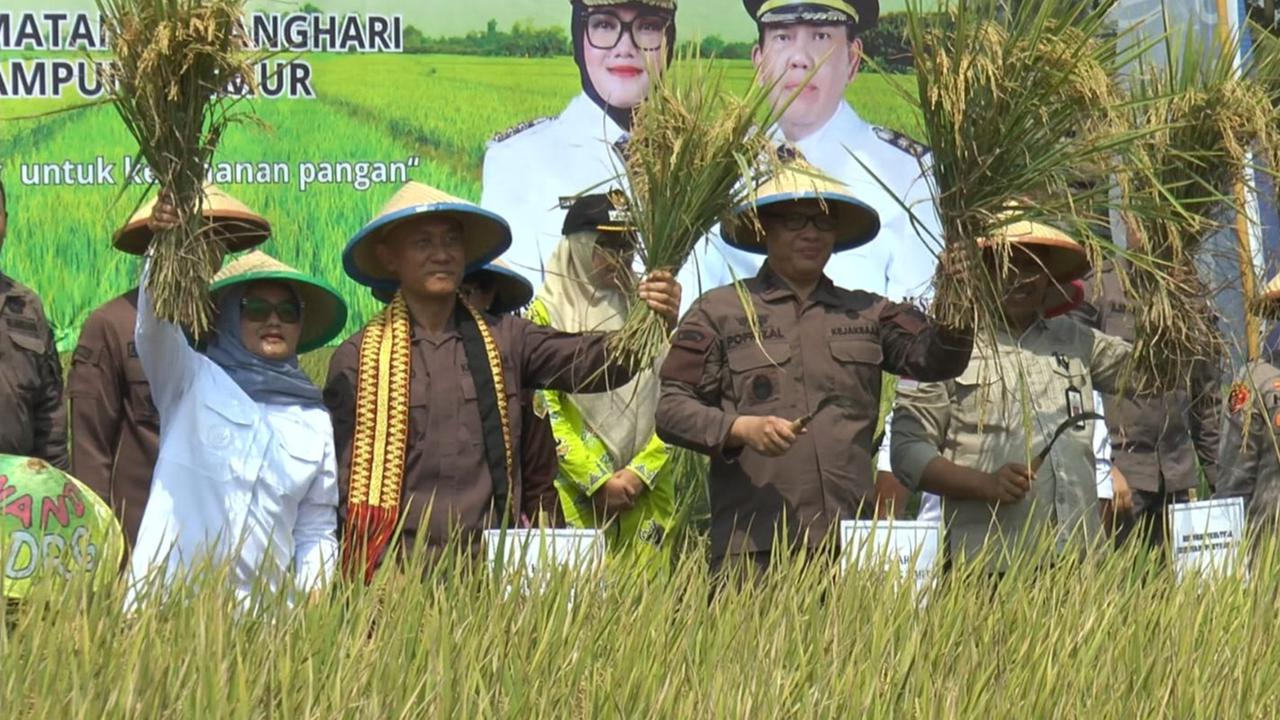 Luncurkan Petani Adhyaksa, Kejati Lampung Target Panen 28 Ribu Ton Gabah