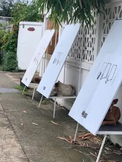 Intip daur ulang spanduk bekas jadi rumah lipat bagi anjing liar di Thailand (@stand_forstrays)