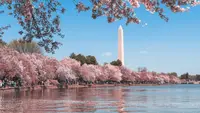 8 Things to Do in DC This Weekend With Family: A Memorable Adventure Awaits