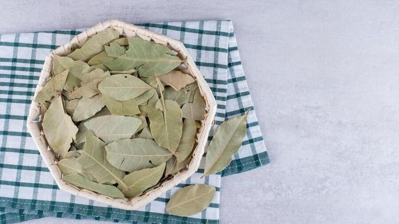 3. Rebus dengan Daun Salam