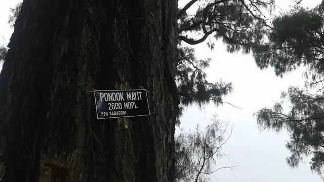 Pos Pondok Mayit