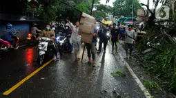 Pohon tumbang menimpa kabel listrik akibat hujan es disertai angin kencang di pinggir Jalan Raya Sawangan Depok, Minggu (09/10/20222). Hujan badai ini membuat listrik di kawasan Sawangan dimatikan oleh PLN.  (merdeka.com/Arie Basuki)