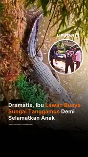 Dramatis, Ibu Lawan Buaya Sungai Tanggamus Demi Selamatkan Anak