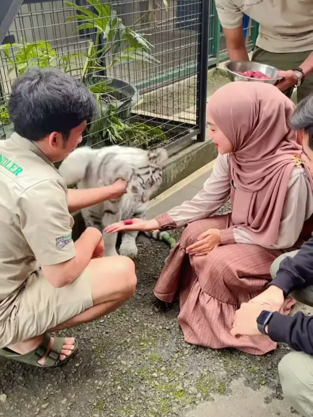 Ria Ricis Digigit Harimau