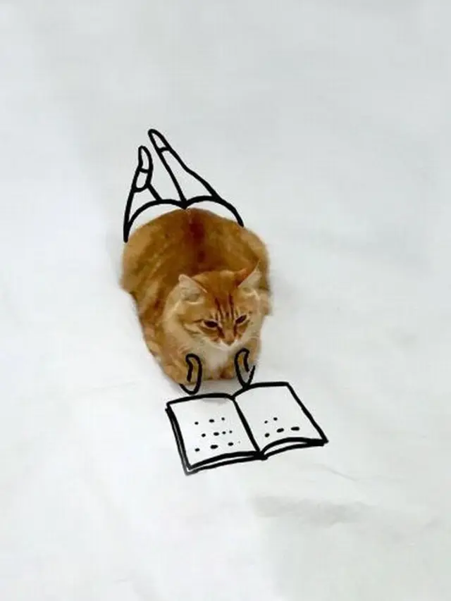 Lucunya 7 Kreasi Coretan di Foto Kucing Duduk Ini Bikin Tersenyum