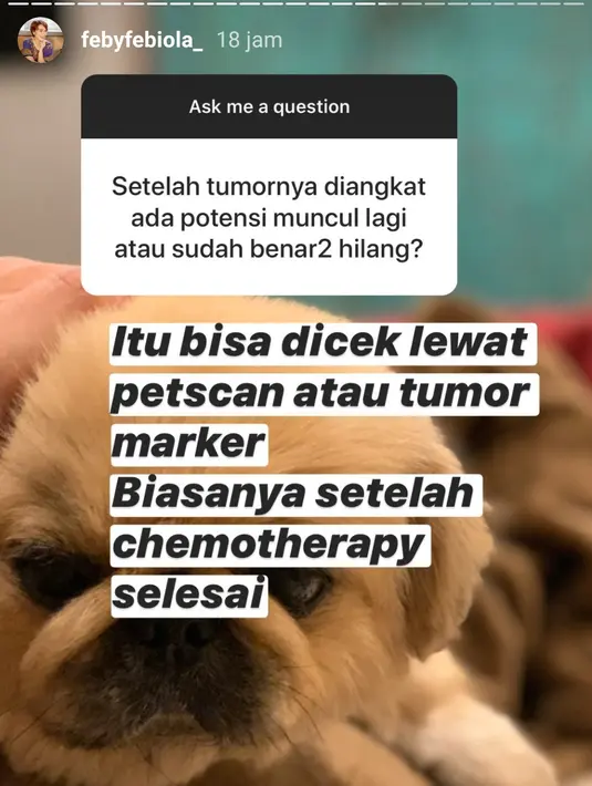 Unggahan Feby Febiola. (Foto: Instagram @febyfebiola_)