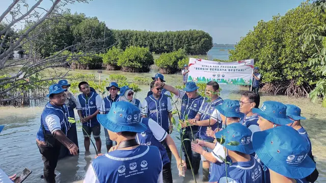 Transjakarta Tanam Ribuan Bibit Mangrove di Pulau Harapan, Kepulauan Seribu