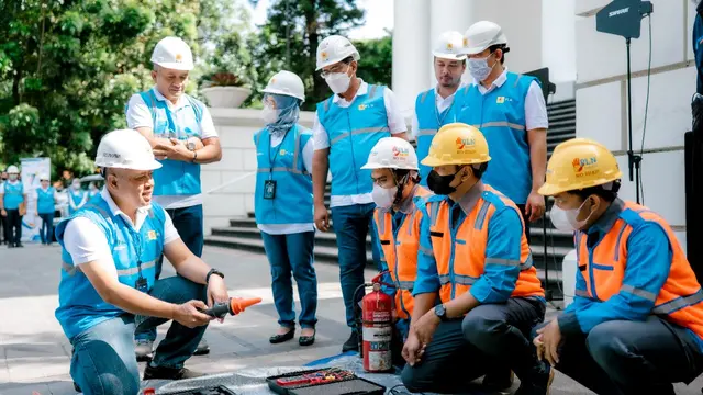 PLN
