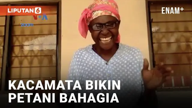 VIDEO: Penyediaan Kacamata Bantu Tingkatkan Pendapatan Petani di Ghana