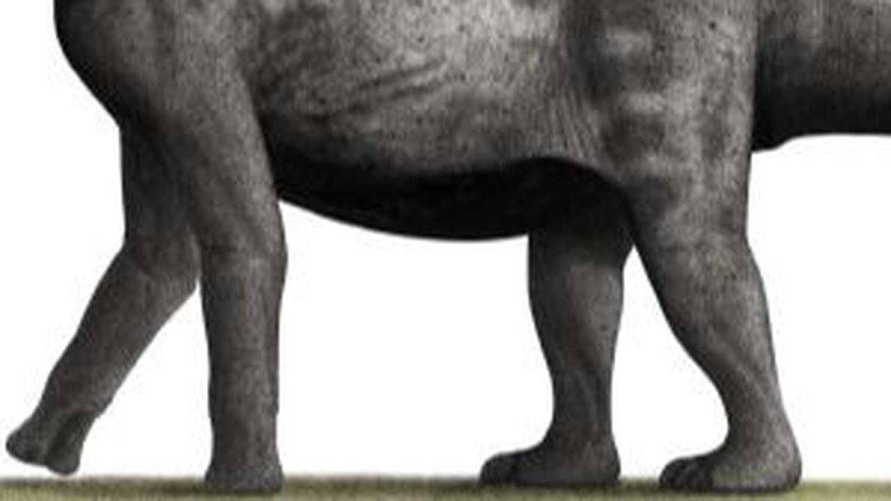 4.&nbsp;Argentinosaurus