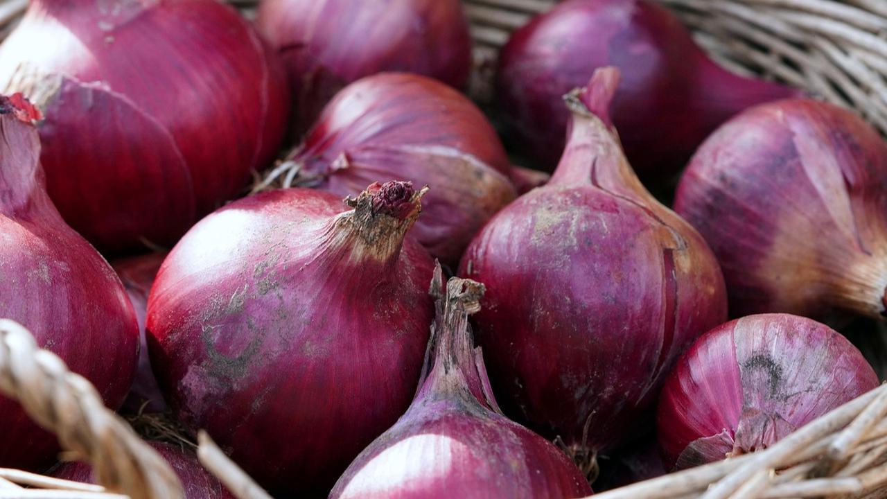 Ilustrasi Bawang Merah (©Pixabay)