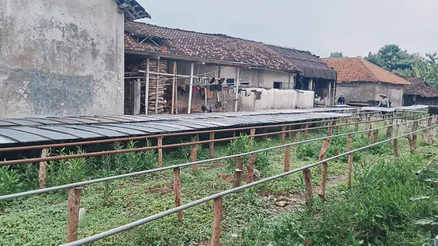 Ilustrasi Cara Pembuatan Mi Soun di Manjung Klaten/Foto:Liputan6.com/Miranti