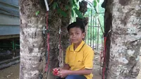 Cerita Naufal Temukan Listrik di Pohon Kedondong
