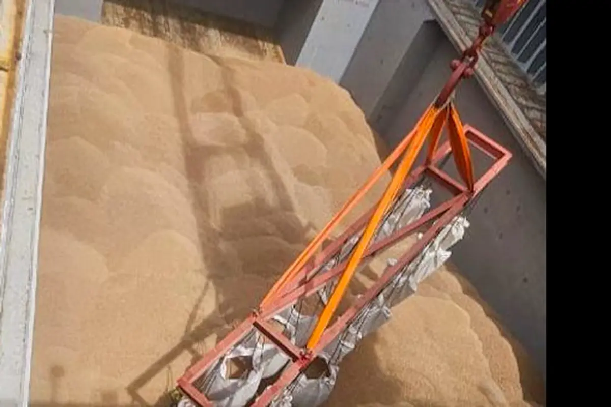 Bea cukai dukung ekspor wood pellet bersertifikasi milik PT Mangole Timber Producers ke Jepang. Keberhasilan ekspor ini mencerminkan daya saing produk kehutanan dari wilayah terpencil di pasar global. (Istimewa)