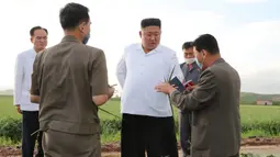 Dalam gambar tak bertanggal yang dirilis 28 Agustus 2020 memperlihatkan pemimpin Korea Utara, Kim Jong-un (tengah) mengunjungi daerah yang dilanda topan di Provinsi Hwanghae Selatan. Topan itu juga menyebabkan hujan lebat dan menumbangkan pohon. (STR/AFP/KCNA VIA KNS)