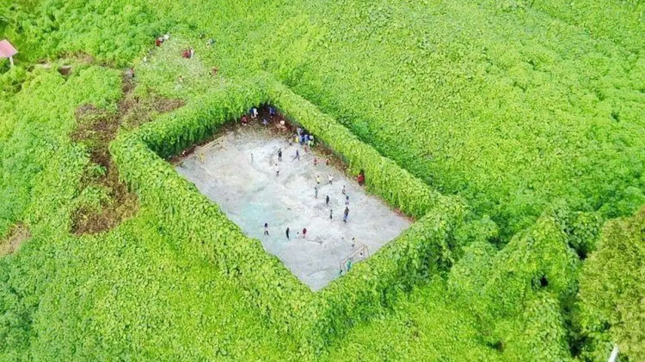 Lapangan Bola