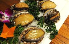 11 Manfaat Kerang Abalon untuk Kesehatan, Perhatikan Cara Pengolahannya