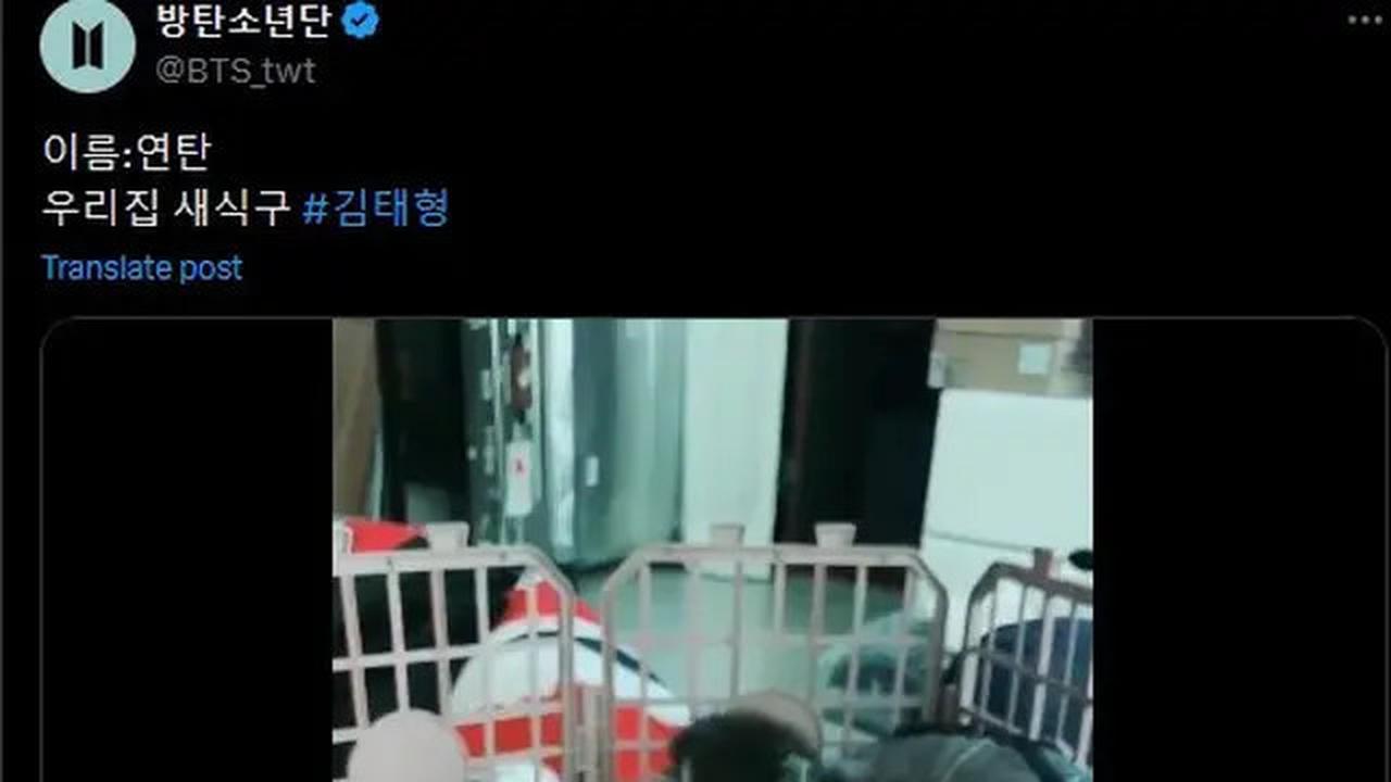 6 Potret Kenangan Yeontan dengan V BTS, Saat Diadopsi hingga Tampil dalam Teaser Lagu di Pengujung Usianya