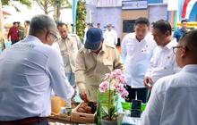 PTPN IV PalmCo Siap Hilirisasi Gambir, Wujudkan Kebijakan Presiden Prabowo untuk Nilai Tambah Nasional