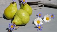 Ilustrasi buah pir. (Gambar oleh Couleur dari Pixabay)