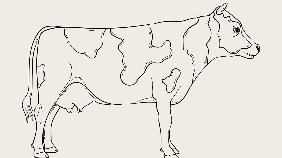 How to Draw a Cow in 2 Simple Styles