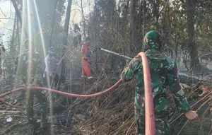 Kasus Kebakaran Hutan: 15 Korporasi Dibidik, 26 Izin Perusahaan Dibekukan