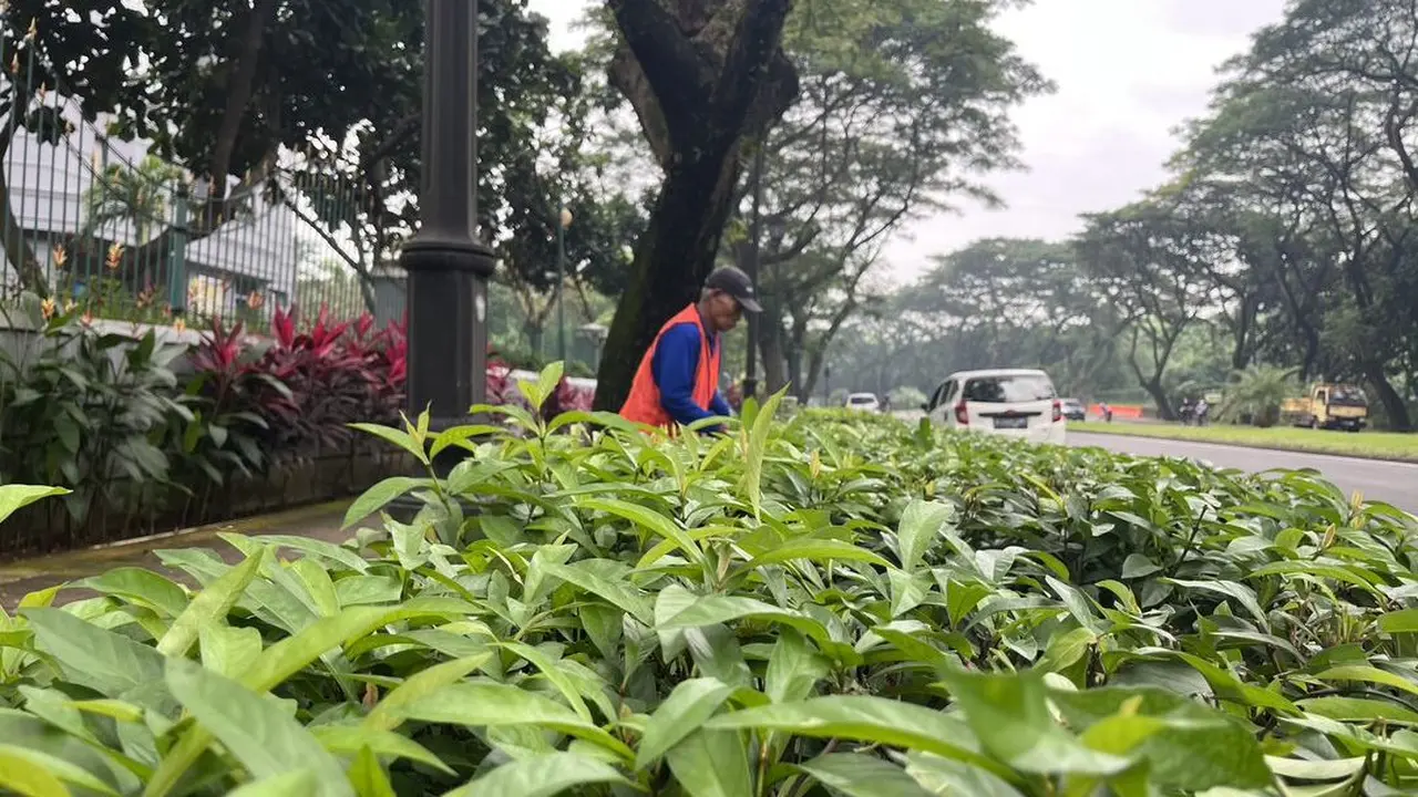 PT Lippo Karawaci Tbk. (LPKR), berkomitmen melakukan peremajaan ruang terbuka hijau (RTH) di sejumlah pengembangan kota mandiri, seperti di Lippo Village, Lippo Cikarang, dan Tanjung Bunga, Makassar. (Dok Lippo)