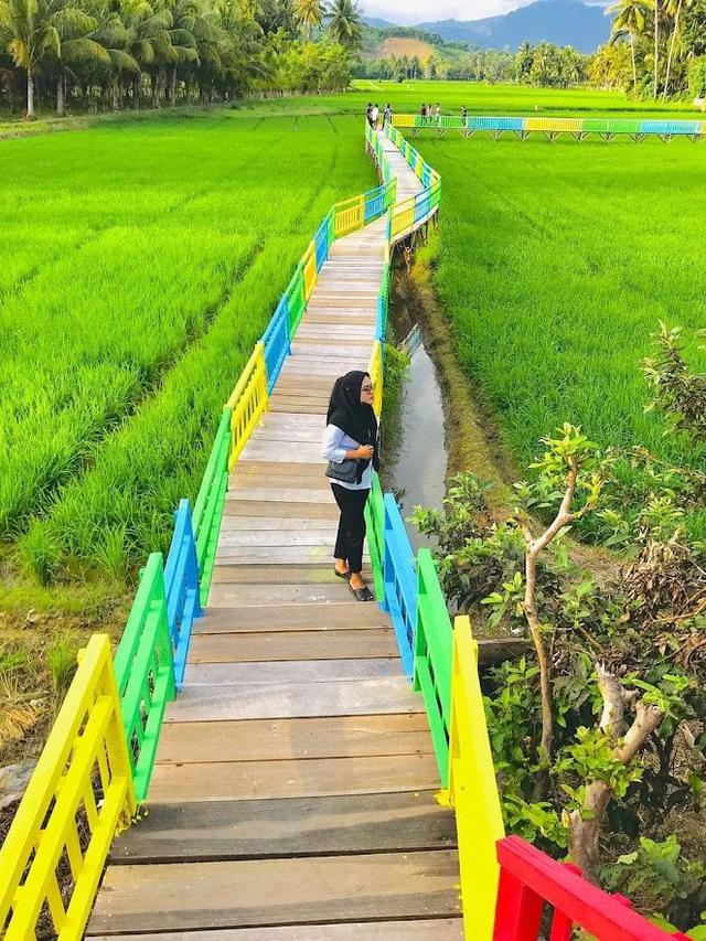 Wisata Sawah