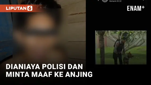 Pemuda di Halmahera Dianiaya Polisi dan Diminta Minta Maaf ke Anjing Pelacak