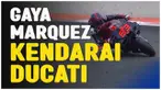 Berita Video, gaya Marc Marquez saat membawa Ducati pada Selasa (28/11/2023)