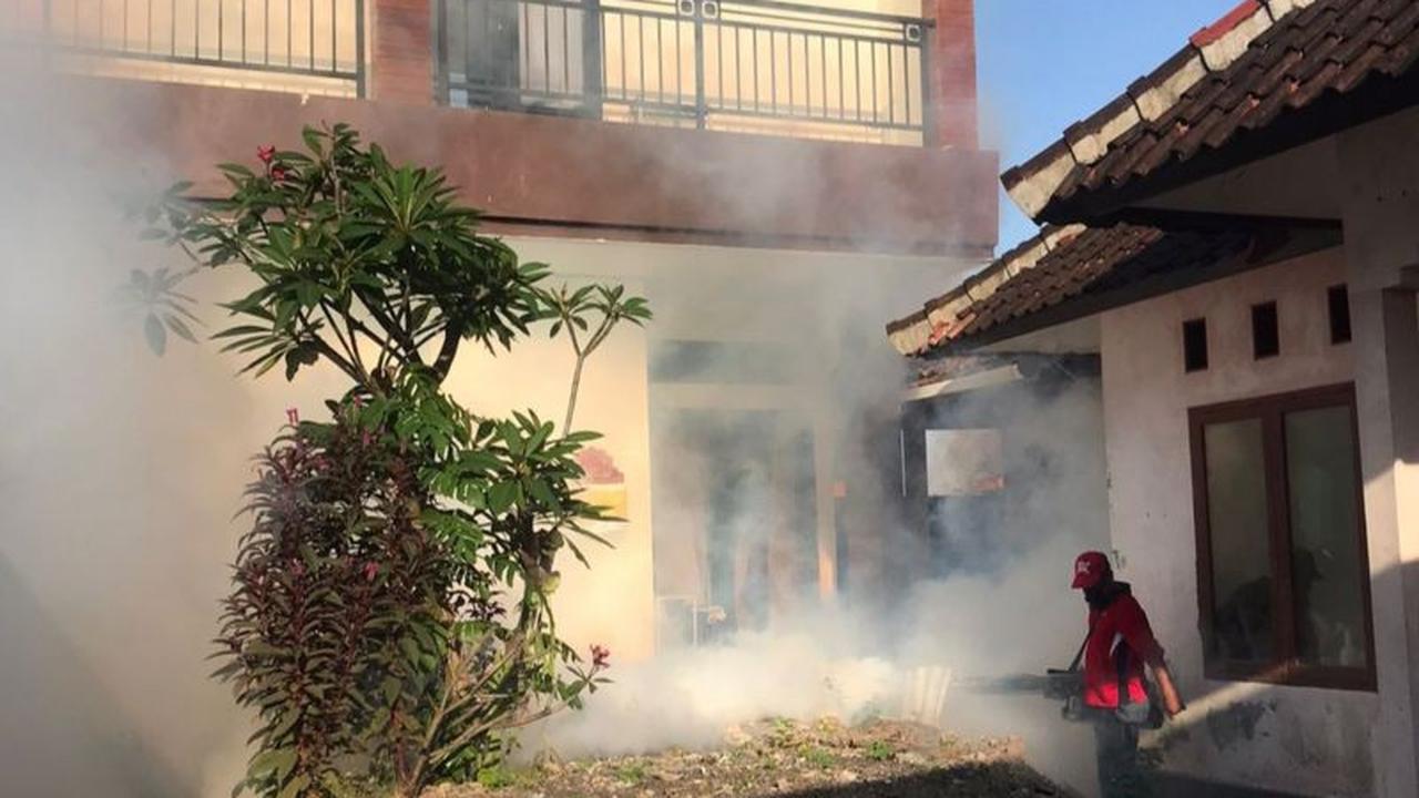 Denpasar Gencarkan Fogging ULV di 39 Titik, Ini Cara Kerja Pengasapan DBD yang Efektif!