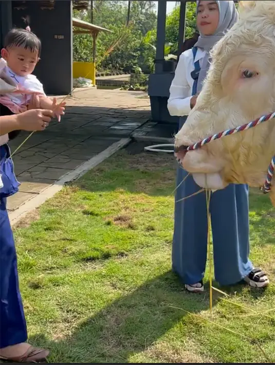 Sambil mengendong putrinya, Ricis melihat lebih dekat sapi-sapi  yang dalam peternakan tersebut. [Instagram/riaricis1795]